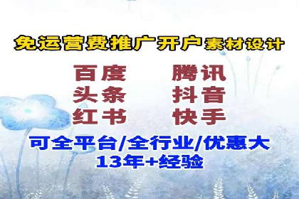 某电商平台的SEM推广实践与效果展示
